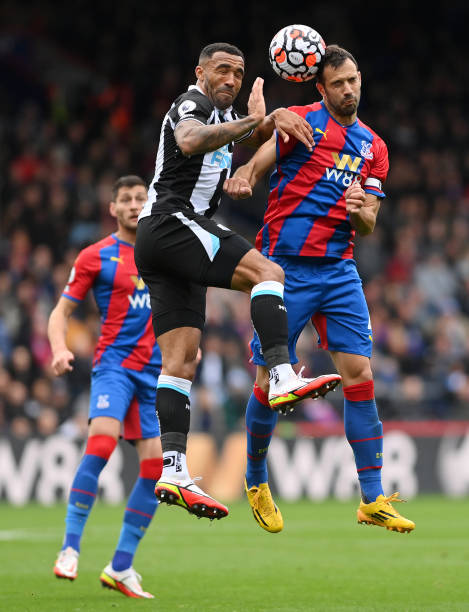 引进的资源 引进的资源